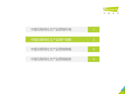 2019年中国互联网社交企业营销策略白皮书 连接、互动与转化